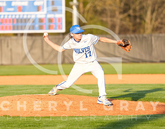 ©CGP 041425 Daniel Boone @ West Ridge 06522