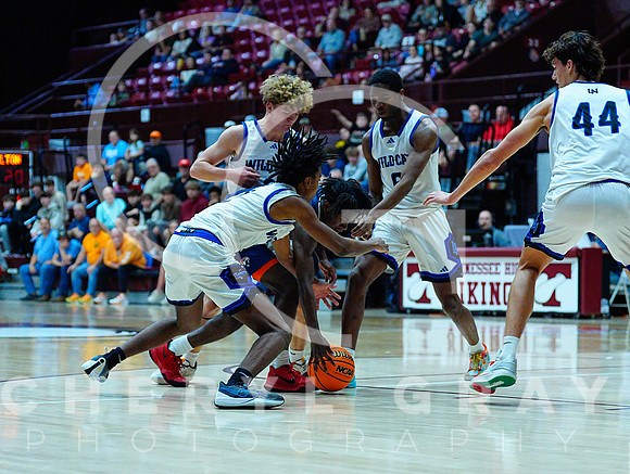 ©CGP 122824 GAME 16 Lake Norman vs Milton 00318