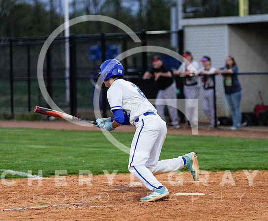 ©CGP 041425 Daniel Boone @ West Ridge 08235