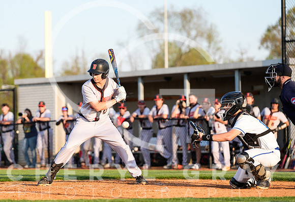 ©CGP 041425 Daniel Boone @ West Ridge 06415