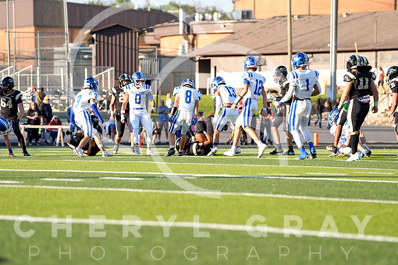 ©CGP 0829255 West Ridge @ David Crockett 07066