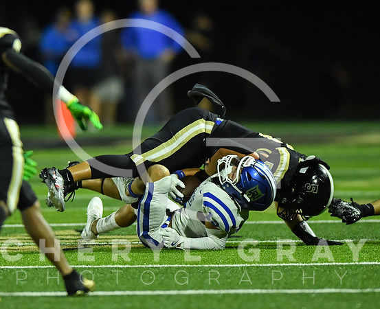 ©CGP 0829255 West Ridge @ David Crockett 05173
