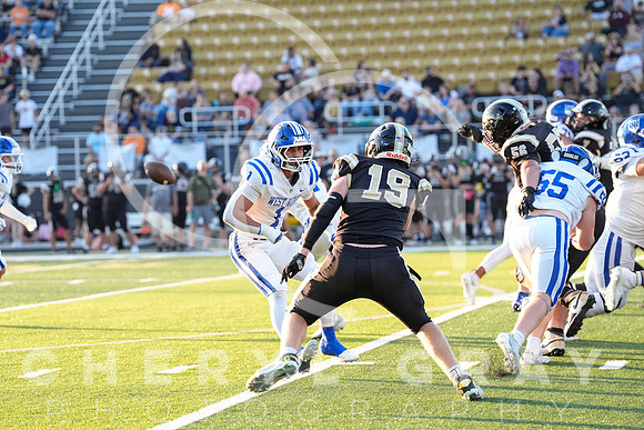 ©CGP 0829255 West Ridge @ David Crockett 08485