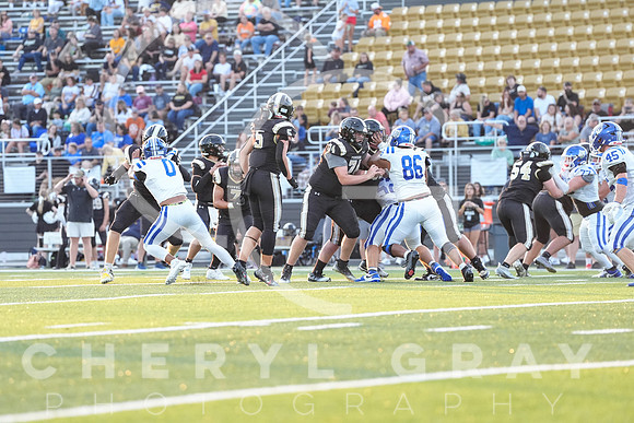 ©CGP 0829255 West Ridge @ David Crockett 09040