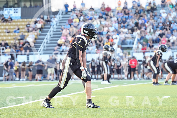 ©CGP 0829255 West Ridge @ David Crockett 09150