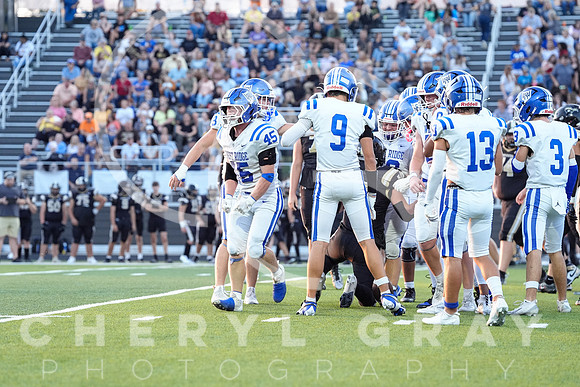 ©CGP 0829255 West Ridge @ David Crockett 09187
