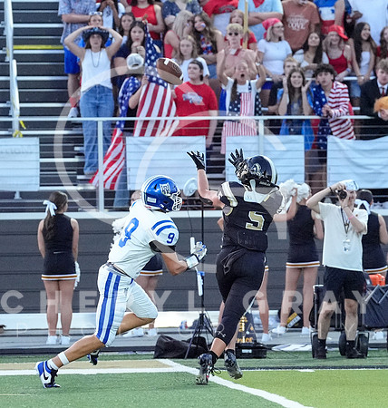 ©CGP 0829255 West Ridge @ David Crockett 09747