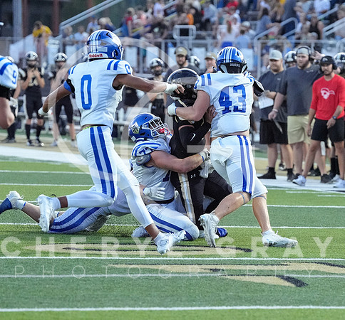 ©CGP 0829255 West Ridge @ David Crockett 09921