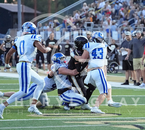©CGP 0829255 West Ridge @ David Crockett 09920