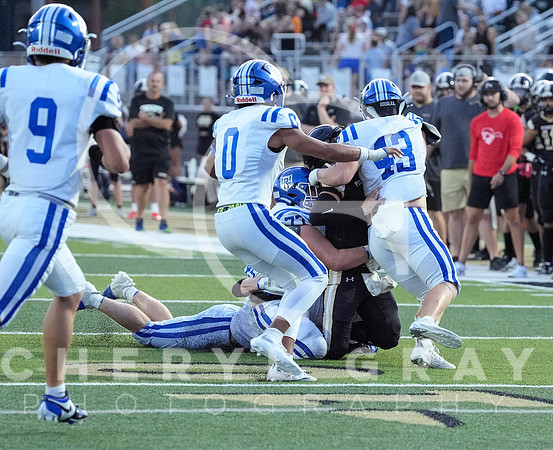 ©CGP 0829255 West Ridge @ David Crockett 09922