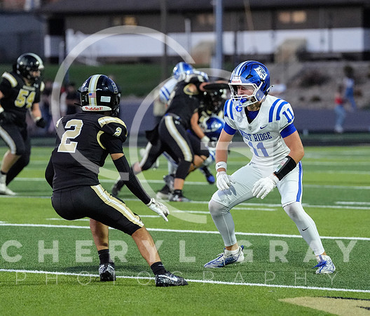 ©CGP 0829255 West Ridge @ David Crockett 10070