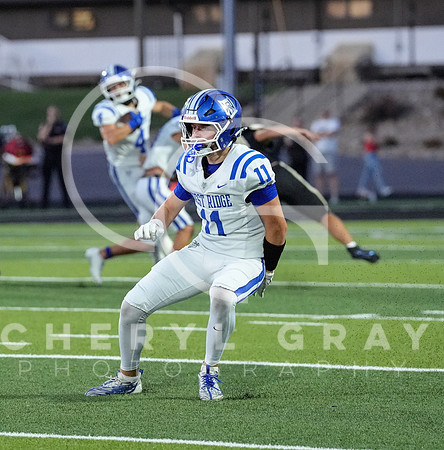 ©CGP 0829255 West Ridge @ David Crockett 10061