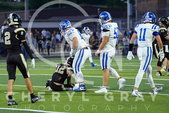©CGP 0829255 West Ridge @ David Crockett 10087