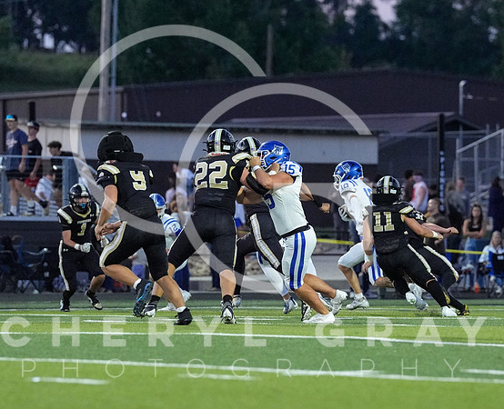 ©CGP 0829255 West Ridge @ David Crockett 10020