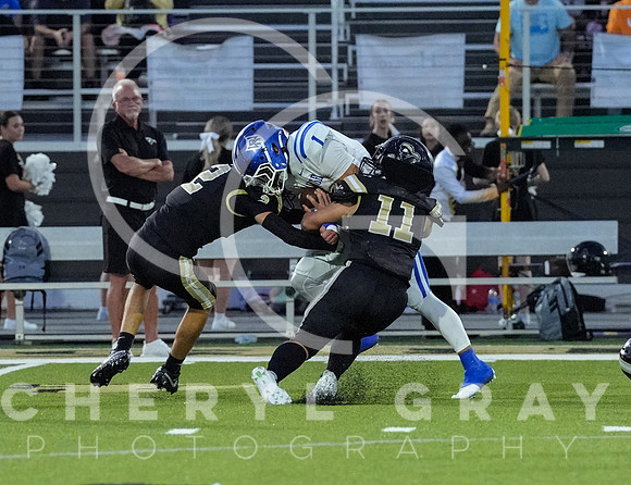 ©CGP 0829255 West Ridge @ David Crockett 10147