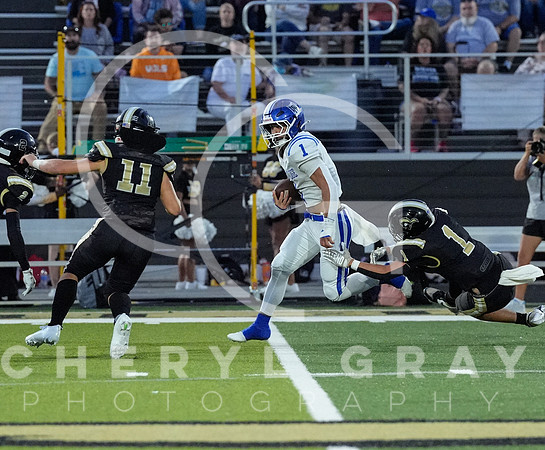 ©CGP 0829255 West Ridge @ David Crockett 10143