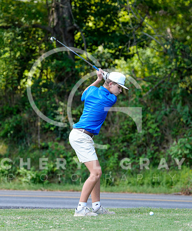 ©CGP 090225 Sullivan East @ West Ridge 00868