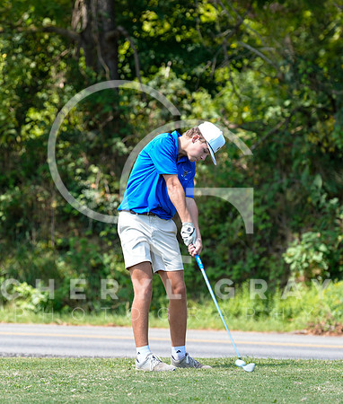 ©CGP 090225 Sullivan East @ West Ridge 00891