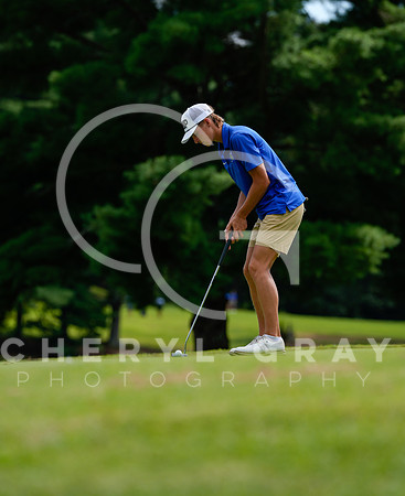 ©CGP 090225 Sullivan East @ West Ridge 01667