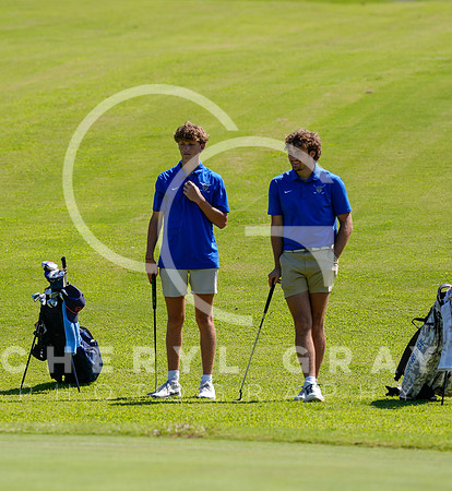 ©CGP 090225 Sullivan East @ West Ridge 02237
