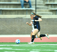 ©CGP 090225 Morristown West @ West Ridge 00035