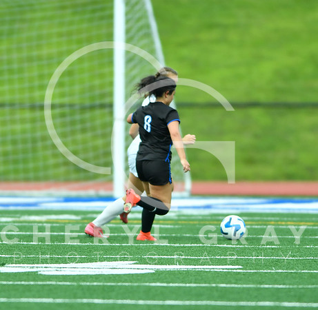 ©CGP 090225 Morristown West @ West Ridge 00432