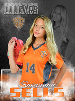 SAVANNAH SELLS BANNER SCMS 2025 copy