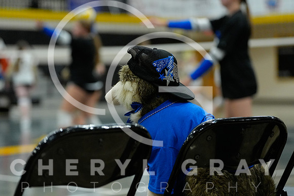 ©CGP 091125 West Ridge @ David Crockett 00110