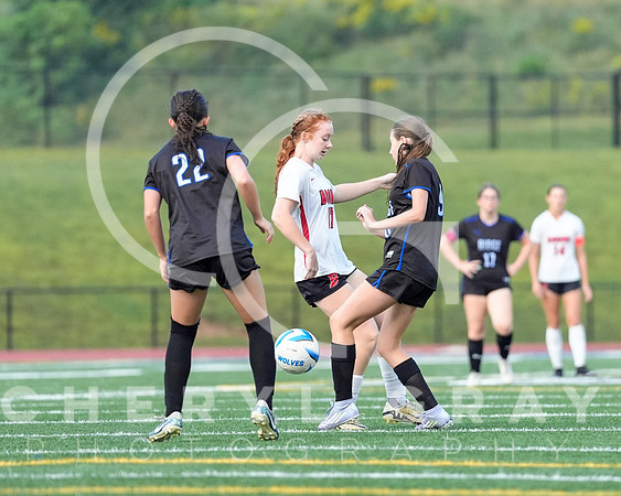 ©CGP 091525 Daniel Boone @ West Ridge 00212