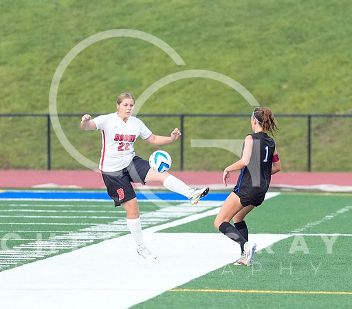 ©CGP 091525 Daniel Boone @ West Ridge 00264