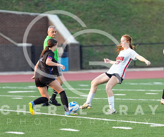 ©CGP 091525 Daniel Boone @ West Ridge 00322