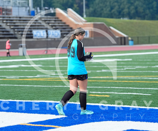 ©CGP 091525 Daniel Boone @ West Ridge 00250