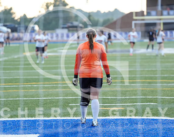 ©CGP 091525 Daniel Boone @ West Ridge 00494