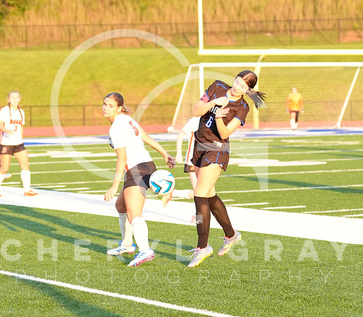 ©CGP 091525 Daniel Boone @ West Ridge 00709