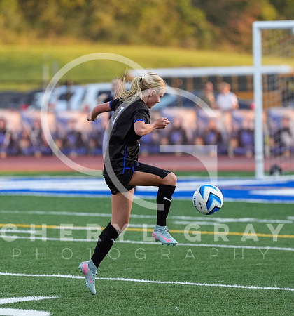 ©CGP 091525 Daniel Boone @ West Ridge 00897