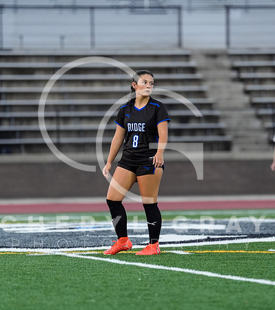 ©CGP 091525 Daniel Boone @ West Ridge 01336