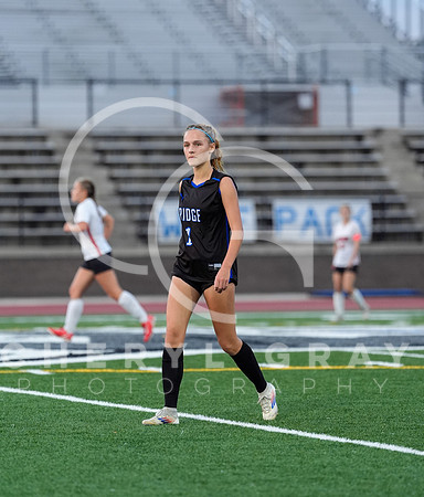 ©CGP 091525 Daniel Boone @ West Ridge 01324