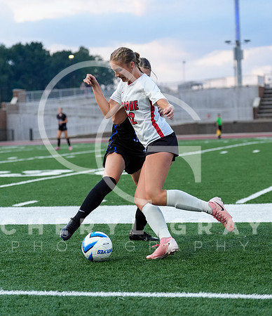 ©CGP 091525 Daniel Boone @ West Ridge 01496