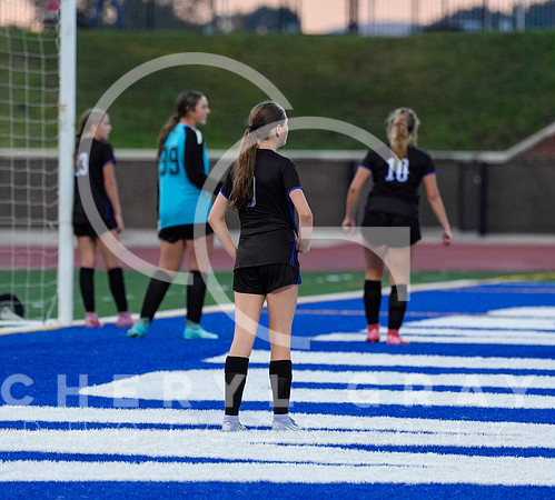 ©CGP 091525 Daniel Boone @ West Ridge 01708
