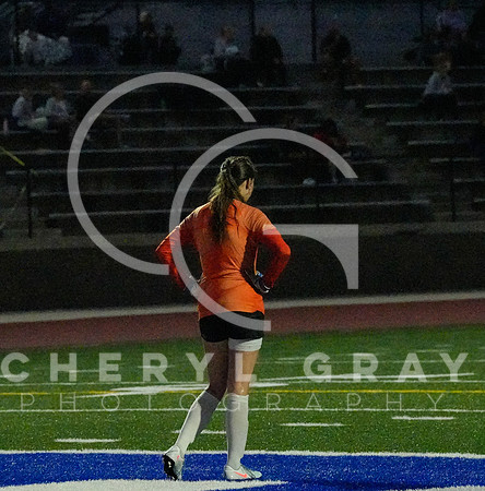 ©CGP 091525 Daniel Boone @ West Ridge 02178