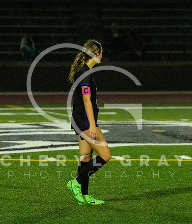 ©CGP 091525 Daniel Boone @ West Ridge 02717