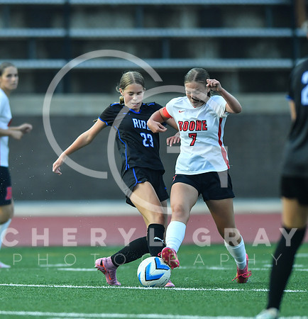 ©CGP 091525 Daniel Boone @ West Ridge 03099