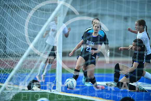 ©CGP 091525 Daniel Boone @ West Ridge 03126