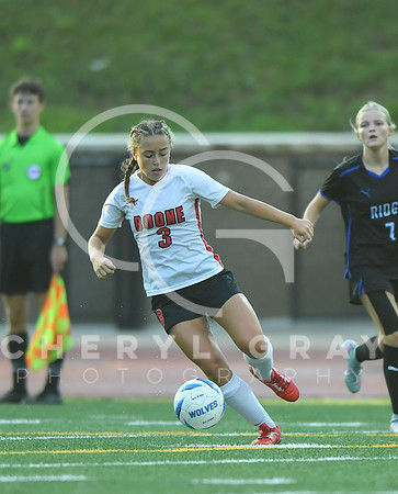 ©CGP 091525 Daniel Boone @ West Ridge 03328