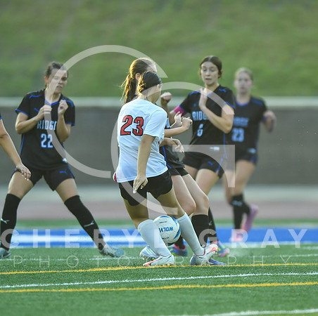 ©CGP 091525 Daniel Boone @ West Ridge 03351