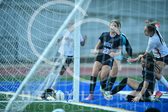 ©CGP 091525 Daniel Boone @ West Ridge 03127