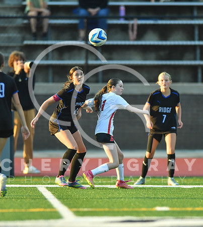 ©CGP 091525 Daniel Boone @ West Ridge 03442