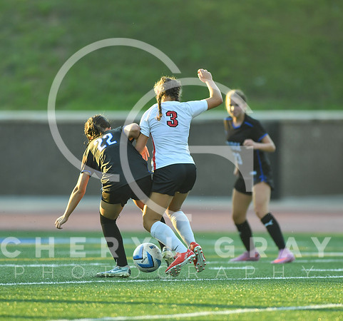 ©CGP 091525 Daniel Boone @ West Ridge 03305