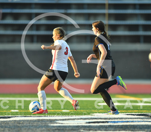 ©CGP 091525 Daniel Boone @ West Ridge 03422