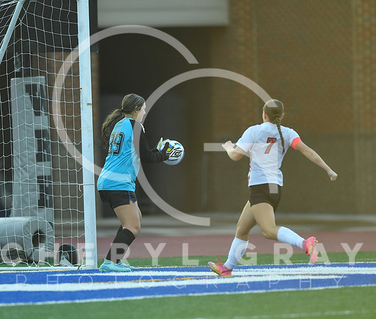 ©CGP 091525 Daniel Boone @ West Ridge 03479